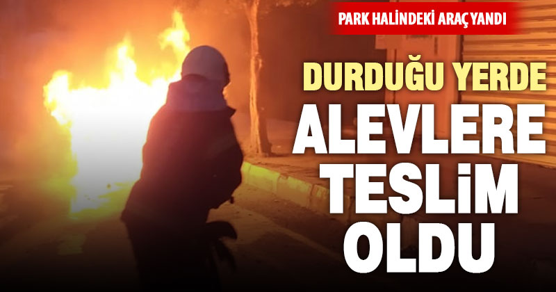 Ticari araç alevlere teslim oldu
