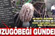 Denizli’nin koronavirüs gündemine kuzugöbeği de eklendi