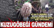 Denizli’nin koronavirüs gündemine kuzugöbeği de eklendi