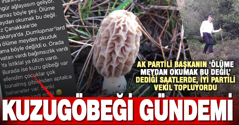 Denizli’nin koronavirüs gündemine kuzugöbeği de eklendi