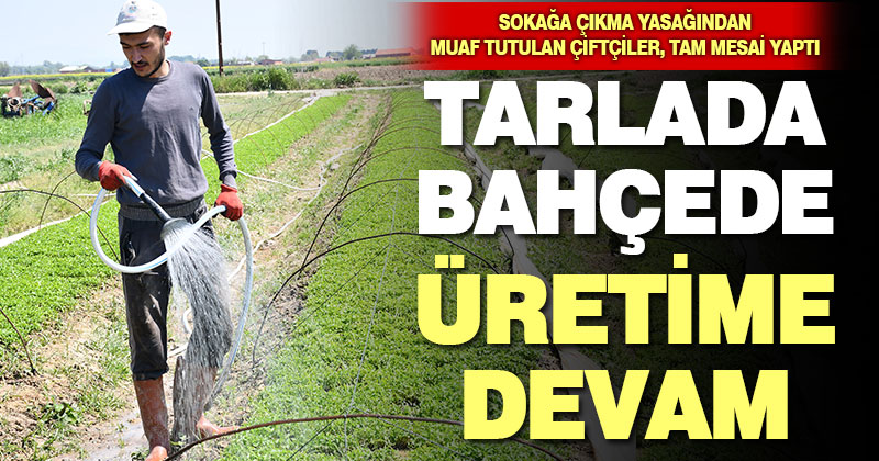 Sokağa çıkma yasağından muaf tutulan çiftçiler, üretmeye devam ediyor