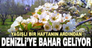 Yağışlı bir haftanın ardından Denizli’ye bahar geliyor