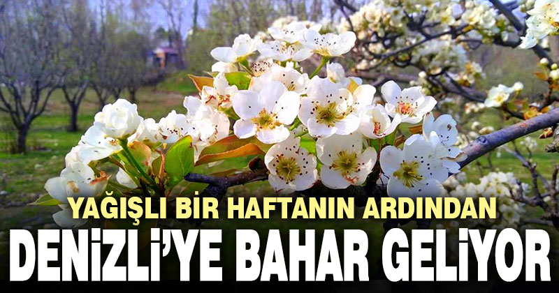 Yağışlı bir haftanın ardından Denizli’ye bahar geliyor