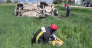 Tarlaya uçan otomobilin sürücüsü yaralandı