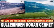 Yangında kül olan ormanın 26 yıllık değişimi