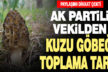 Ak Parti Denizli Milletvekili Ahmet Yıldız’dan kuzu göbeği toplama tarifi