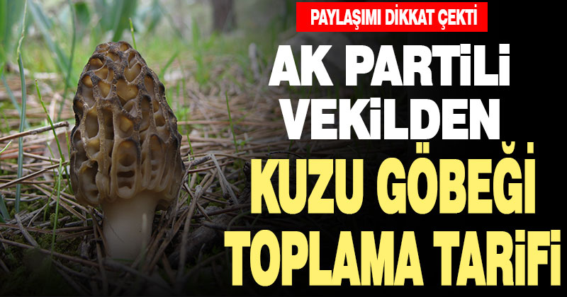 Ak Parti Denizli Milletvekili Ahmet Yıldız’dan kuzu göbeği toplama tarifi