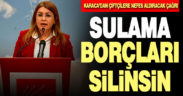 Karaca, “Çiftçilerin sulama birliklerine olan borçları silinsin”