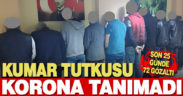 Kumar tutkusu korona tanımadı