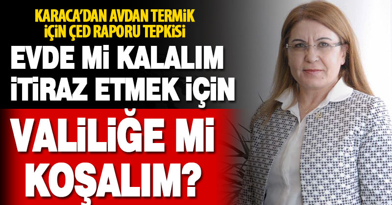 CHP’li Karaca’dan Avdan’a yapılacak santrale tepki