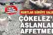 Keçi sürüsüne kurt saldırdı, 3 çoban köpeği bir kurdu öldürdü