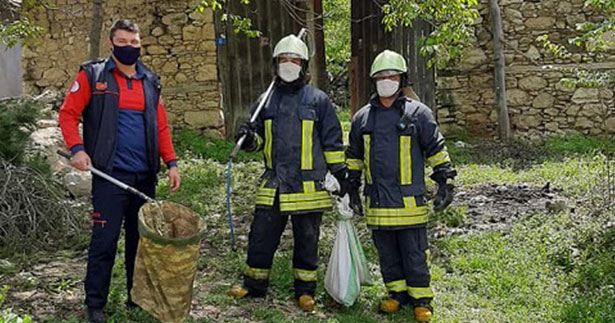 Evin odunluğundan 5 tilki yavrusu çıktı
