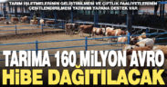 TKDK, bu yıl tarım yatırımları için 160 milyon avro hibe dağıtacak