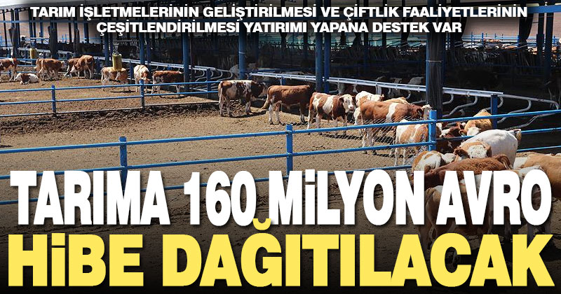 TKDK, bu yıl tarım yatırımları için 160 milyon avro hibe dağıtacak