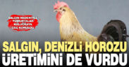Korona Denizli Horozu’nu da vurdu