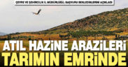 Atıl hazine arazileri tarım için kiralanabilecek