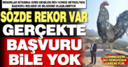 Guinness Rekorlar Kitabına girdiği söylenen Horoz heykeli için başvuru yok!