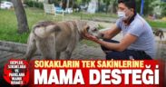 Büyükşehir sokak hayvanlarına mama desteği sağladı