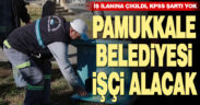 Pamukkale Belediyesi KPSS şartsız 50 işçi alacak