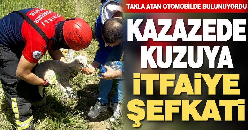 Kazazede kuzuya itfaiyeci şefkati