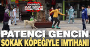 Patenci gencin sokak köpeği ile imtihanı
