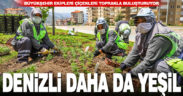 Büyükşehir ile daha yeşil bir Denizli