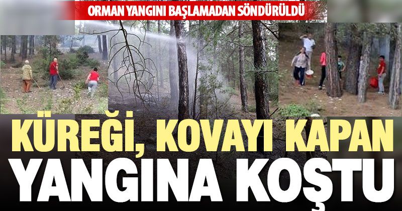 Acıpayam’daki orman yangını büyümeden söndürüldü