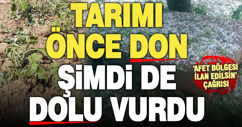 Çal ve Baklan’da ekili ürünler dolu yağışı nedeniyle zarar gördü