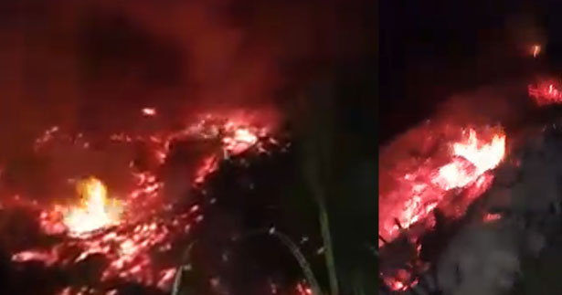 Sarayköy’de korkutan arazi yangını