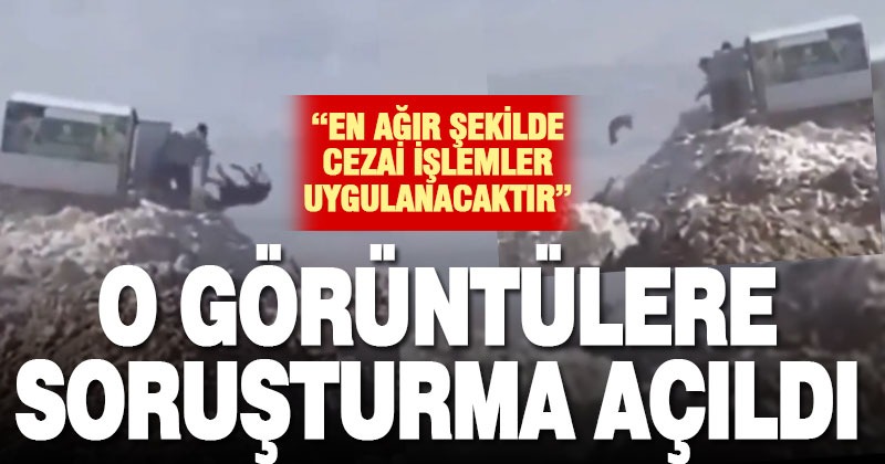 Çöplükte sokak hayvanı leşleri görüntüsüne jet soruşturma