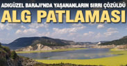 Adıgüzel Barajı’nda yaşananların alg patlaması olduğu açıklandı
