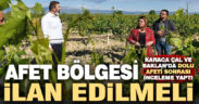 Karaca Çal ve Baklan’da doludan etkilenen arazileri inceledi