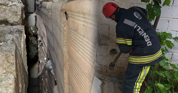 Binaların arasına sıkışan kediyi itfaiye kurtardı