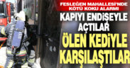 Kötü koku ihbarı ekipleri harekete geçirdi, kedi ölüsü buldu