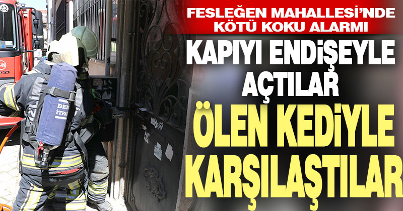 Kötü koku ihbarı ekipleri harekete geçirdi, kedi ölüsü buldu