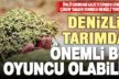 Dünya Yazarı Boyacı’dan salgın sonrası Denizli ekonomisi yorumu