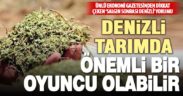 Dünya Yazarı Boyacı’dan salgın sonrası Denizli ekonomisi yorumu