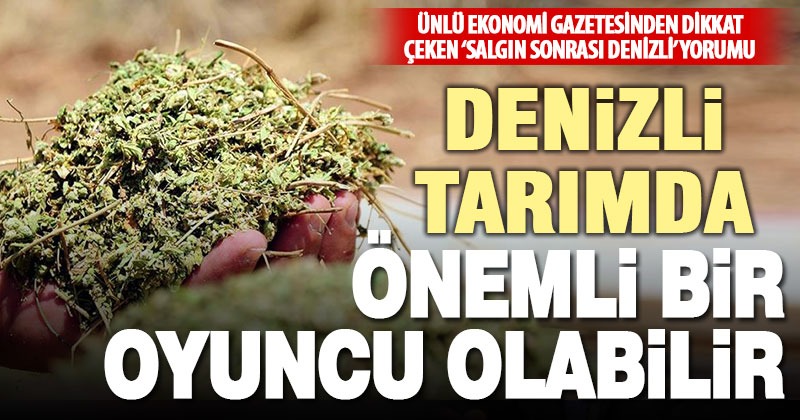 Dünya Yazarı Boyacı’dan salgın sonrası Denizli ekonomisi yorumu
