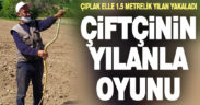 Çıplak eliyle 1.5 metrelik yılan yakaladı, uzun süre oynadı