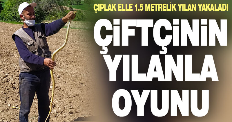 Çıplak eliyle 1.5 metrelik yılan yakaladı, uzun süre oynadı