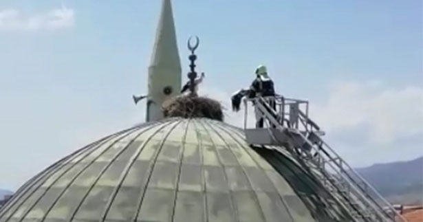 Yuvasından düşen yavru leyleği itfaiye yerine bıraktı
