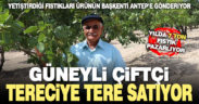 Güneyli çiftçi tereciye tere satıyor