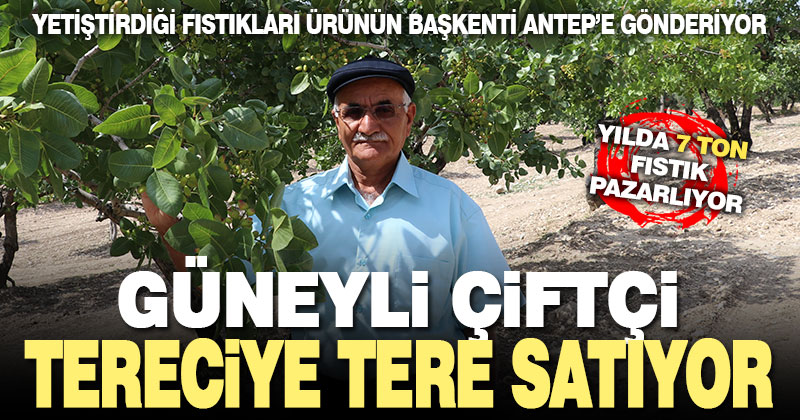 Güneyli çiftçi tereciye tere satıyor