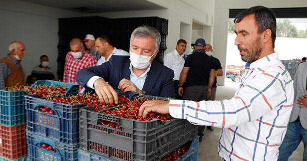 Honaz Belediyesi’nden kiraz üreticilerine destek