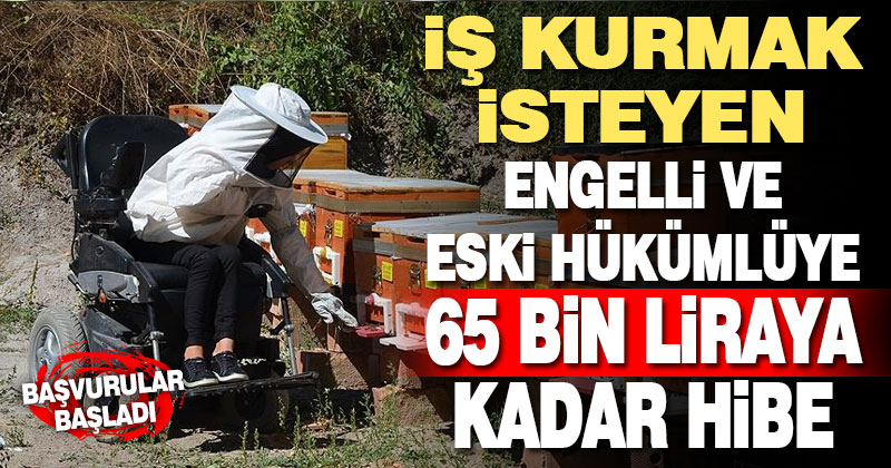Engellilere ve eski hükümlülere hibe desteği