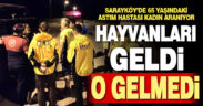 Sarayköy’de kaybolan 65 yaşındaki kadın her yerde aranıyor