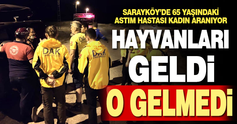 Sarayköy’de kaybolan 65 yaşındaki kadın her yerde aranıyor