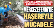 Merkezefendi’de haşerelerle mücadele sürüyor