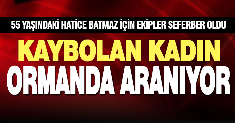 Güney’de ormanlık alanda kaybolan kadını arama çalışması başlatıldı
