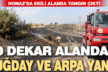 Honaz’da çıkan yangında 80 dekar alandaki ekinler yandı